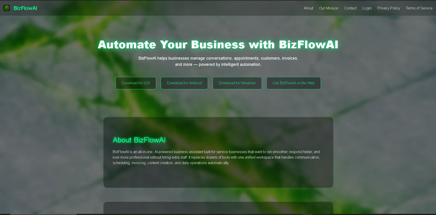 BizFlowAI website designed by Riggs Web Development